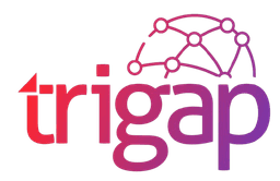 Trigap Solutions